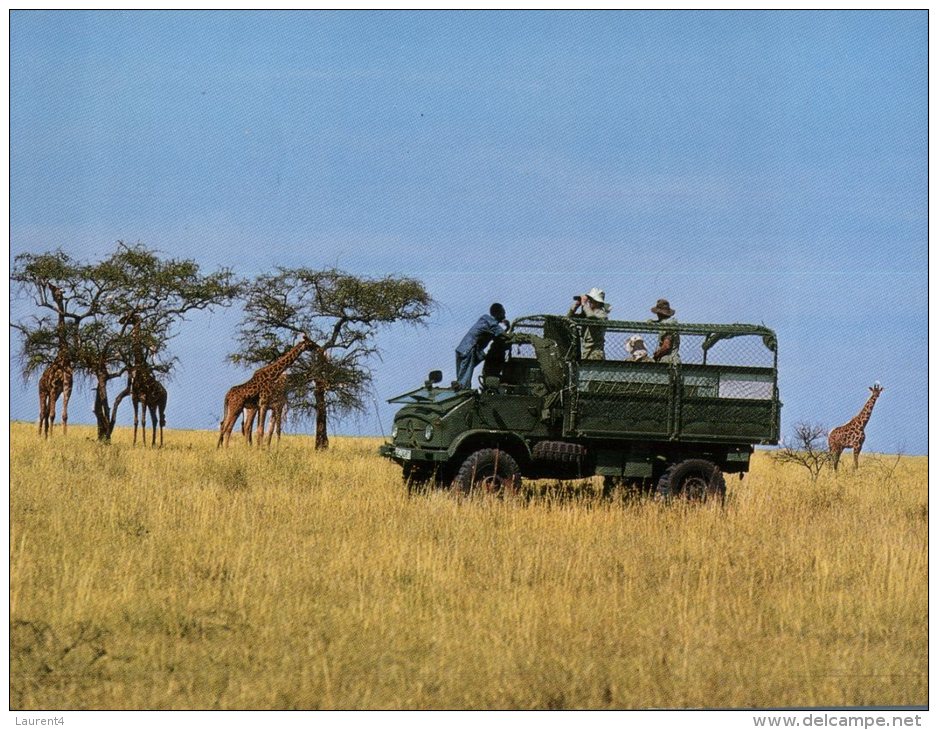 (431) Tanzania - Serengeti - Tanzanía