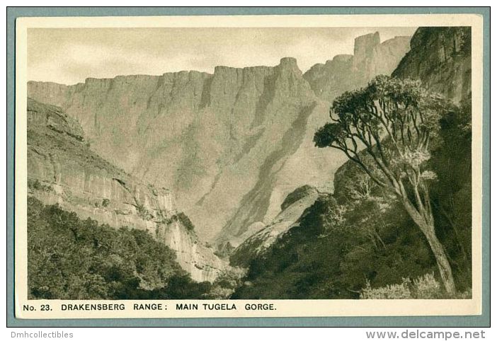Tugela Gorge Drakensberg Range Union Of South Africa Postcard (LL-40) - South Africa