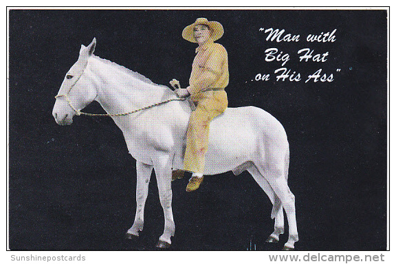 Arkansas Cotter Ozark Handicrafts Toys &amp; Crafts "Man With Big Hat On His Ass" - Altri & Non Classificati