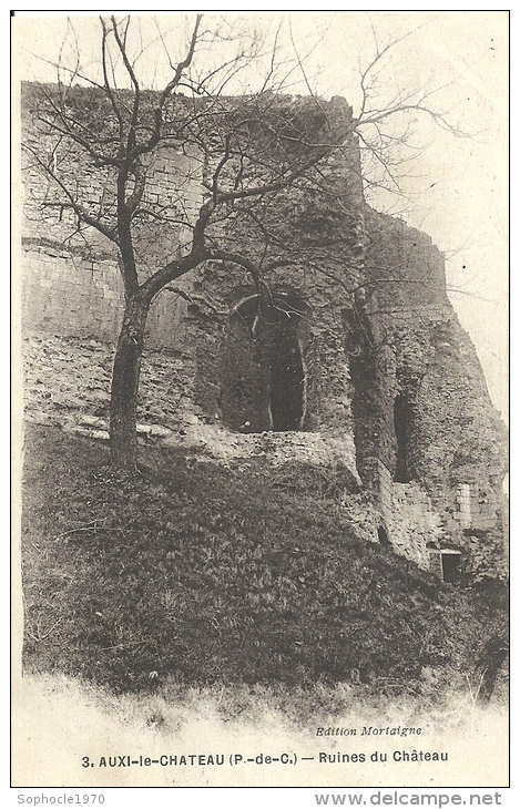 NORD PAS DE CALAIS - 62 - AUXI LE CHATEAU - Ruines Du Château - Auxi Le Chateau