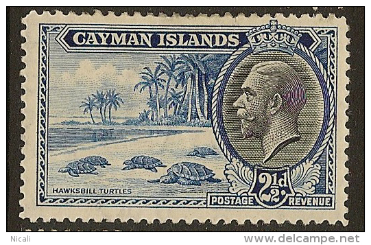 CAYMAN IS 1935 2 1/2d KGV SG 101 HM YK234 - Cayman Islands