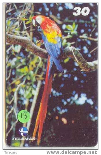 PERROQUET Parrot PAPAGEI Papagaai Telecarte (18) - Parrots