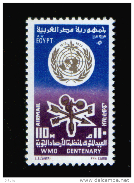 EGYPT / 1973 / UN / UN'S DAY / FAO / WMO / UNRWA / WHO / UNESCO / MEDICINE / MNH / VF - Neufs