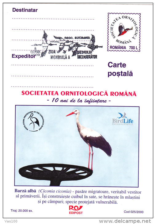 BIRDS, OISEAUX, CICONIA CICONIA, POSTCARD STATIONERY, ENTIERE POSTAUX,  OBLIT. CONC, 2000, ROMANIA. - Ooievaars