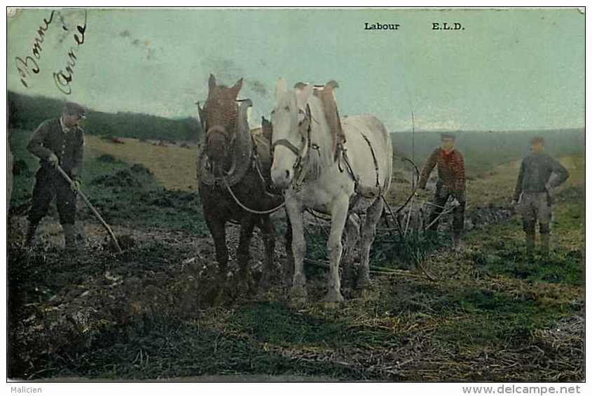 Themes Div-ref F739-agriculture -travaux Des Champs -attelage Chevaux - Labour  -carte Bon Etat  - - Cultures