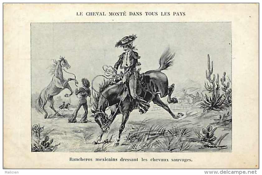 Themes Div-ref F664- Illustrateur - Equitation - Chevaux - Le Cheval Monté A Travers Les Ages Et Pays-carte Bon Etat   - - Pferde