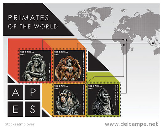 Gambia-2013-APES  (primates )   OF THE WORLD SHEETLET OF 4 - Gorilles