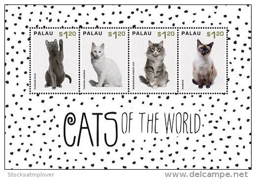 Palau-2013-CATS OF THE WORLD - Gatti