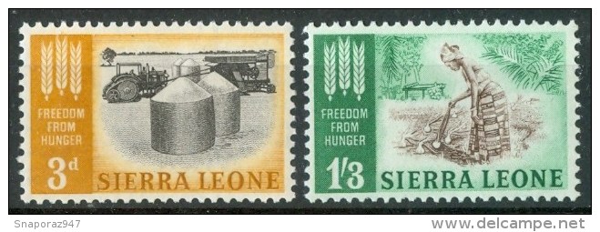 1963 Sierra Leone "Hunger"global Campaign Against Set MNH** Nu179 - OMS