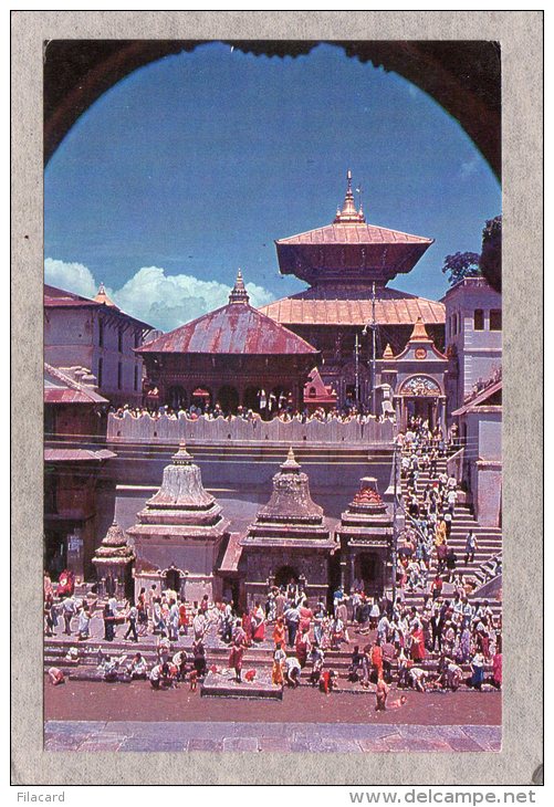 39419     Nepal,  Kathmandu -  Pashupatinath Temple,  NV - Népal