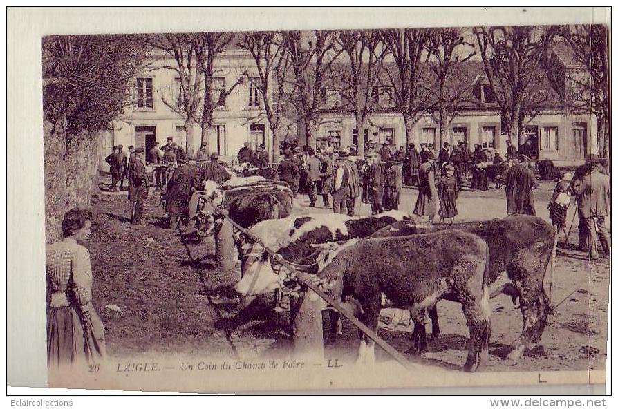 L'Aigle  61   Marché Aux Bestiaux - L'Aigle