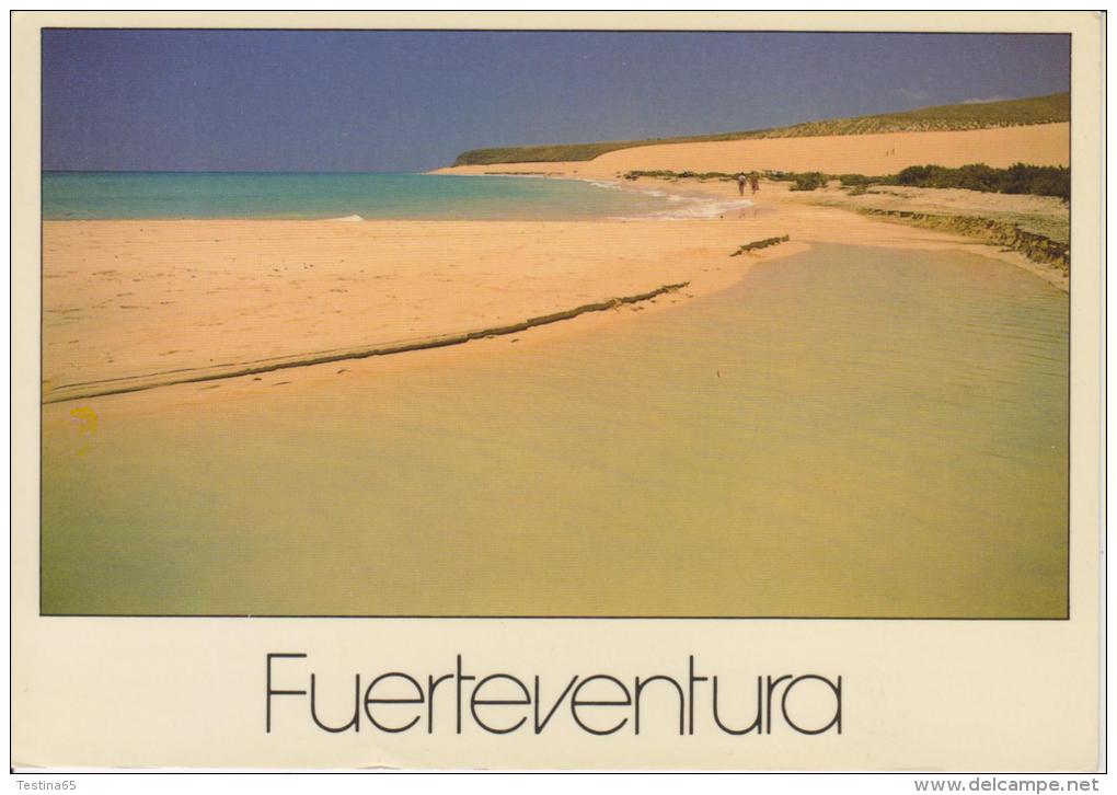 SPAGNA--ISOLE CANARIAS--FUERTEVENTURA--JANDIA--FG--V - Fuerteventura