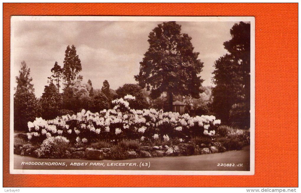 1 Cpa Abbey  Park Leicester Rhododendrons - Leicester