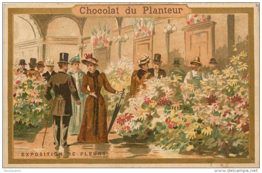 Chromos Réf. C108. Chocolat Du Planteur - Exposition De Fleurs - Autres & Non Classés