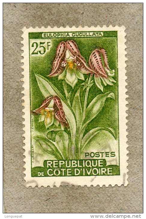 COTE D'IVOIRE : Fleur : Eulophia Cucullata - Orchidées - - Côte D'Ivoire (1960-...)