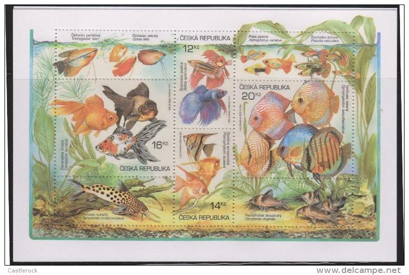 O) 2003 CZECH REPUBLIC, DIVERSITY MARINA, EXOTIC FISH, SOUVENIR MNH. - Other & Unclassified