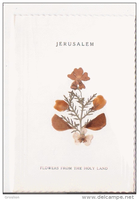 JERUSALEM FLOWERS FROM THE HOLY LAND - Israele