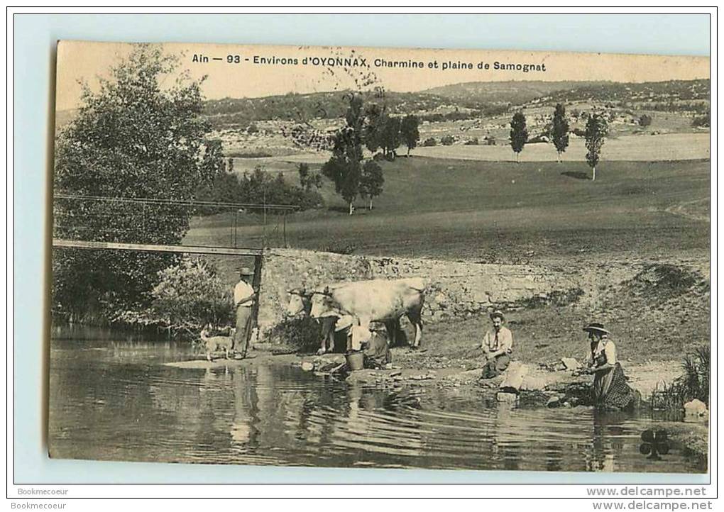 ENVIRON  OYONNAX   CHARMINE & Plaine  De SAMOGNAT ANIMEE VOYAGEE TRE BON ETAT - Oyonnax