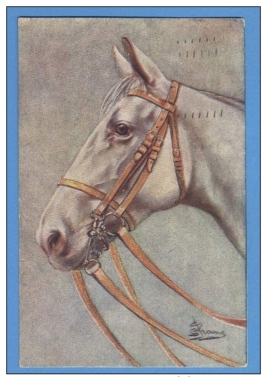 CAVALLI -  ORIGINAL  VINTAGE POSTCARD. - Horses