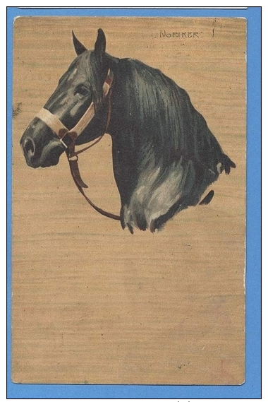 CAVALLI -  ORIGINAL  VINTAGE POSTCARD. - Cavalli