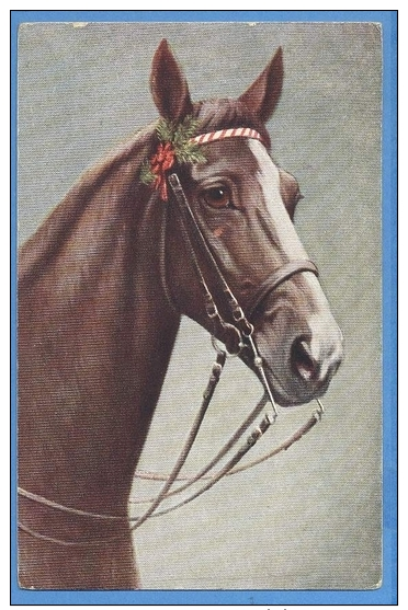 CAVALLI -  ORIGINAL  VINTAGE POSTCARD. - Horses