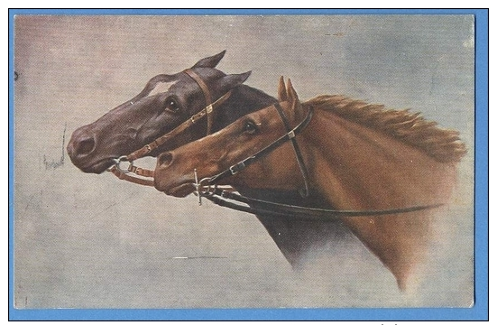 CAVALLI -  ORIGINAL  VINTAGE POSTCARD. - Horses