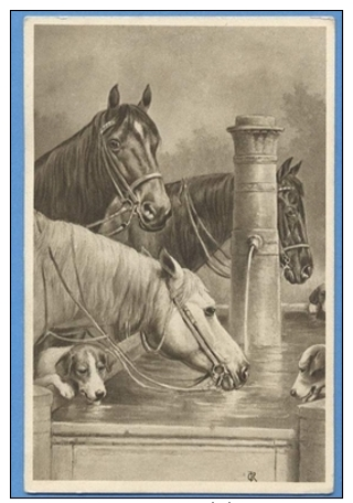 CAVALLI E CANI - ORIGINAL  VINTAGE POSTCARD. - Horses