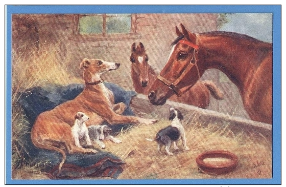 CAVALLI E CANI - ORIGINAL  VINTAGE POSTCARD. - Pferde