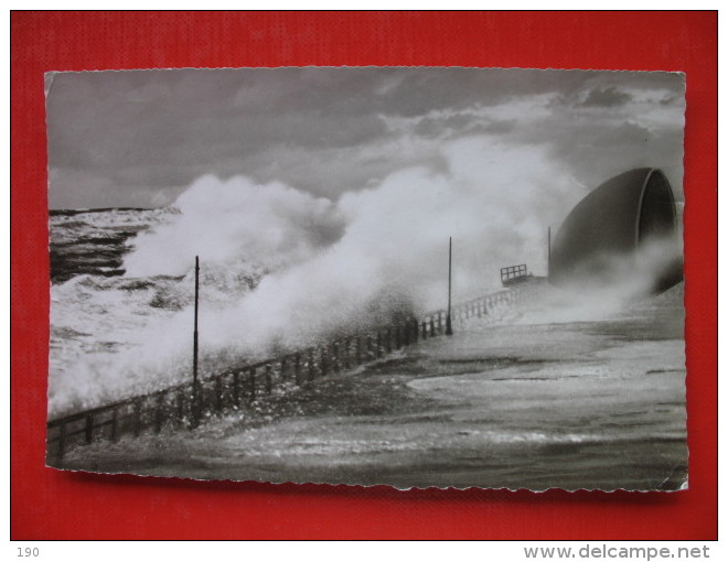 WESTERLAND Auf Sylt-Sturm - Sylt