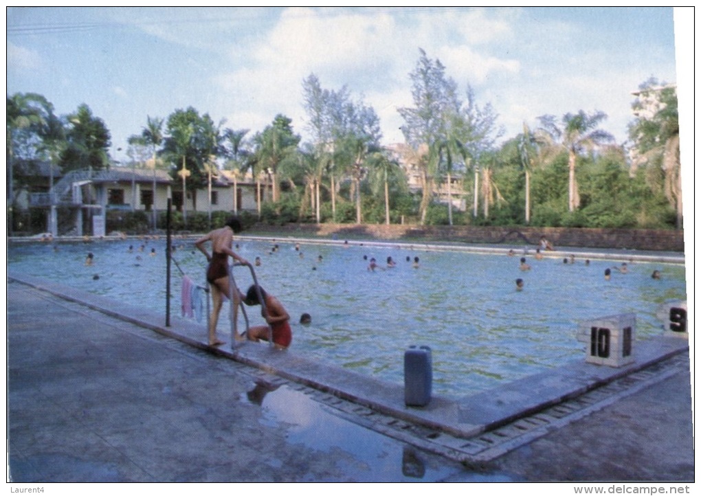 (101) Swimming Pool - Piscine - Salto De Trampolin