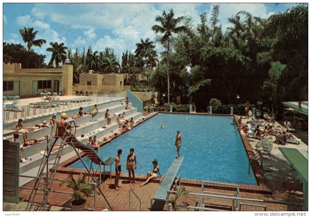 (101) Swimming Pool - Piscine - - Swimming