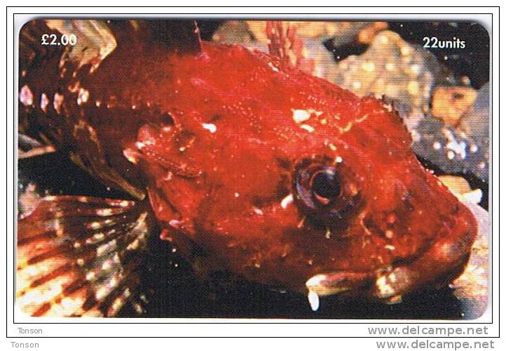 Isle Of Man, MAN 149, 2 £,Marine Life, Scorpion Fish, 2 Scans. - Man (Eiland)