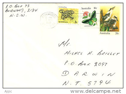 Entier Postal ''Laughing Kookaburra''  1985 - Entiers Postaux