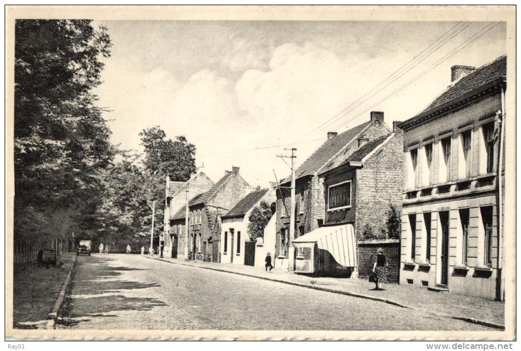 BELGIQUE - FLANDRE ORIENTALE - BERLARE - Frankrijkstraat. - Berlare