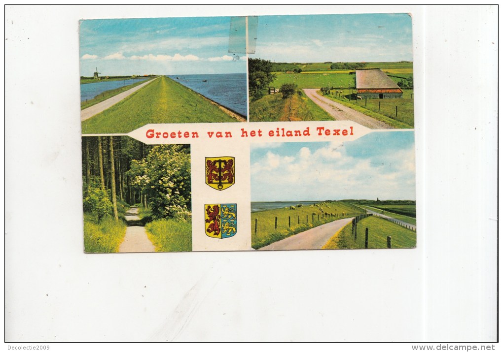 ZS36592 Texel    2 Scans - Texel