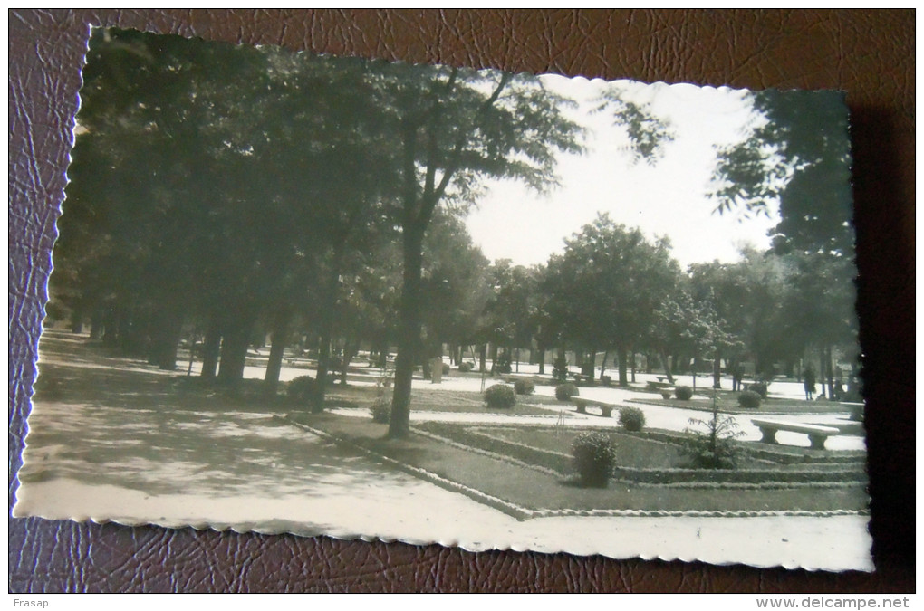 GUADALAJARA PARQUE DE LA CONCORDIA - Guadalajara