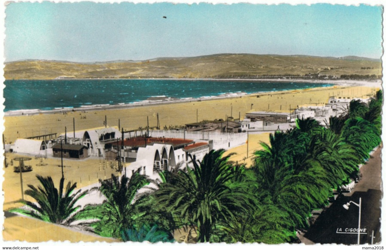 Lot 2 Cartes  Tanger  Carte Photo  Mosquée Et Plage - Tanger