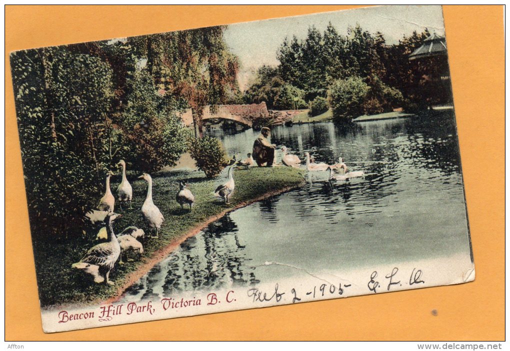 Beacon Hill Park Victoria BC 1905 Postcard - Victoria