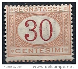 1890-94 REGNO SEGNATASSE 30 CENT MNH ** - RR11671-6 - Strafport