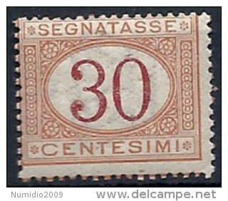 1890-94 REGNO SEGNATASSE 30 CENT MNH ** - RR11671-8 - Taxe