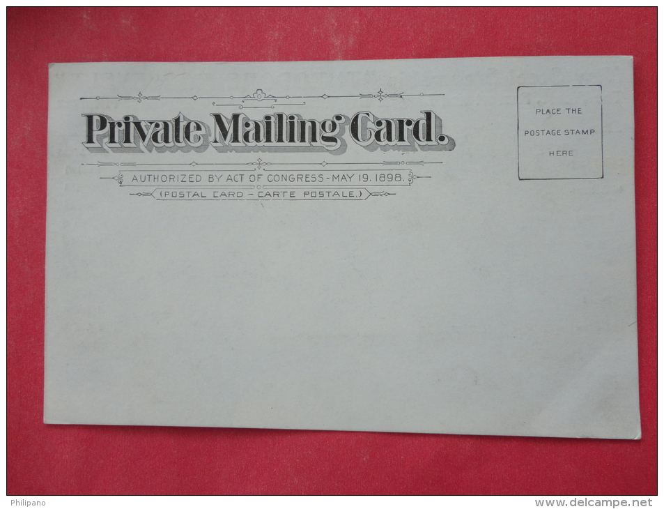 Private  Mailing Card- New Steel Steamship  Theodore Roosevelt  UDB Not Mailed  Ref  963 - Steamers