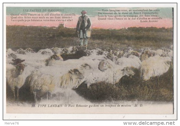 LANDES - Type Landais - Vieil échassier Gardant Un Troupeau De Moutons - Altri & Non Classificati