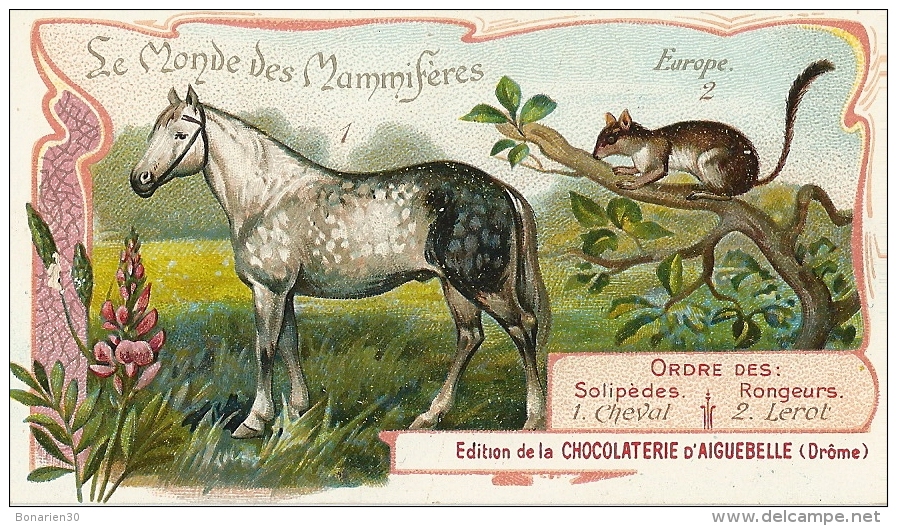 CHROMO CHOCOLAT D´AIGUEBELLE 26 MAMMIFERES CHEVAL LEROT - Aiguebelle