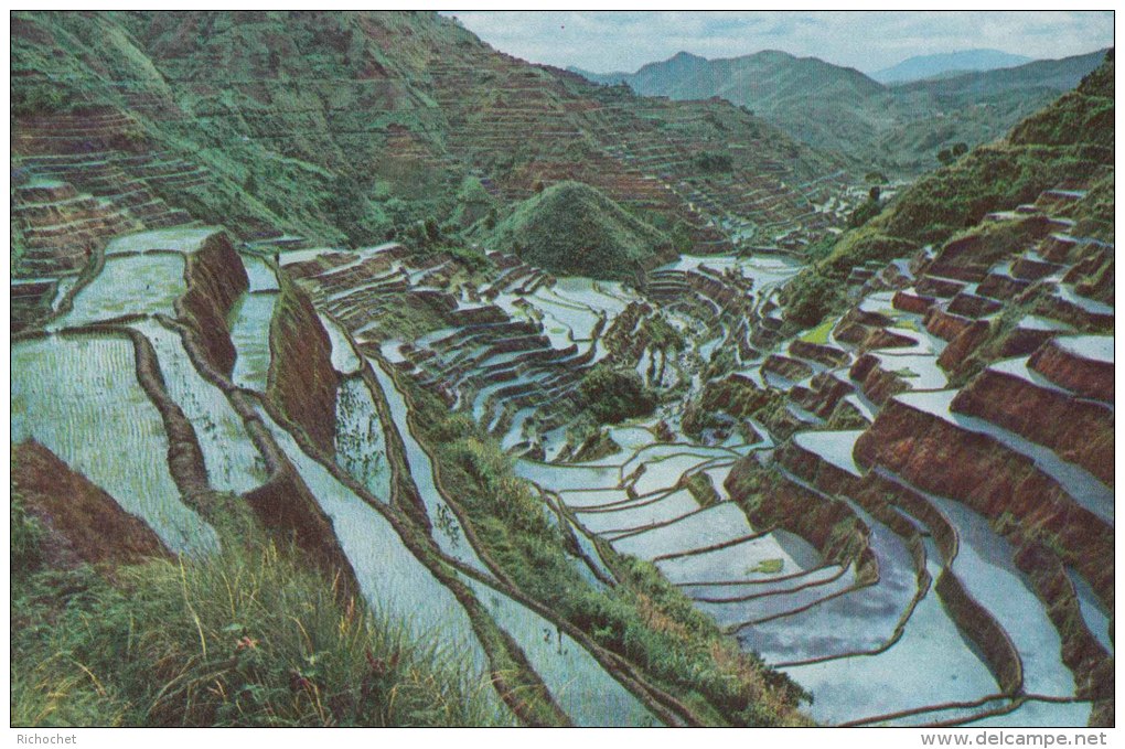 Philippines - The Rice Terraces - Philippines