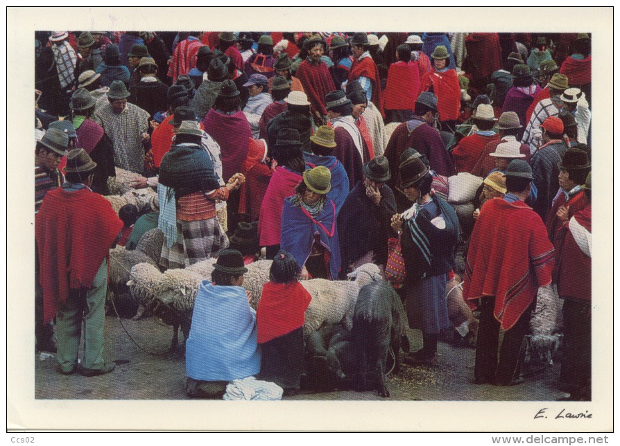 Mercado Indigena Chimborazo Ecuador - Ecuador