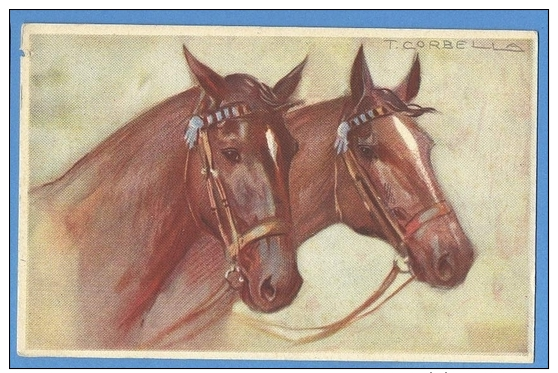 Cavalli  Illustratore  Corbella - Original  Vintage Postcard - Paarden