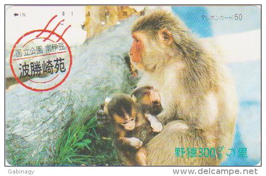 ANIMALS - MONKEY - H111 - JAPAN - 290-6258 - Unclassified