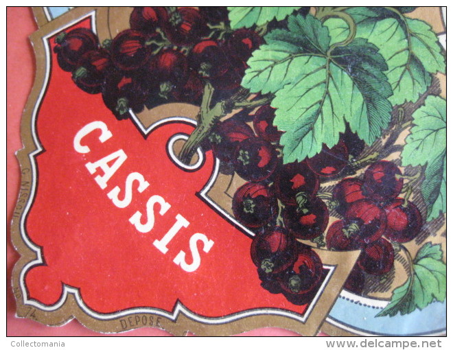 1 ETIQUETTE XIX Ième Litho Parafine  - CASSIS - Bel Plante Feuilles Et Fruits - Imprimeur G. Nissou - Autres & Non Classés