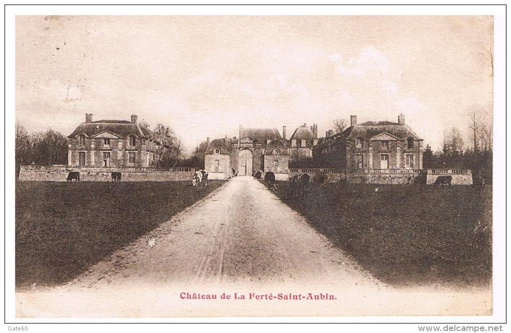 Chateau De La Ferté Saint Aubin - La Ferte Saint Aubin