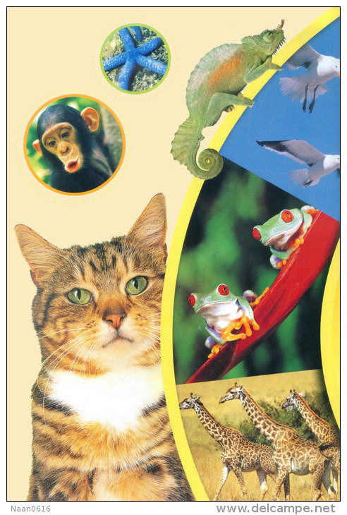 (N52-048  )  Giraffes Frog Cat Monkey  , Postal Stationery-Entier Postal-Ganzsache-Postwaar Destuk - Giraffes